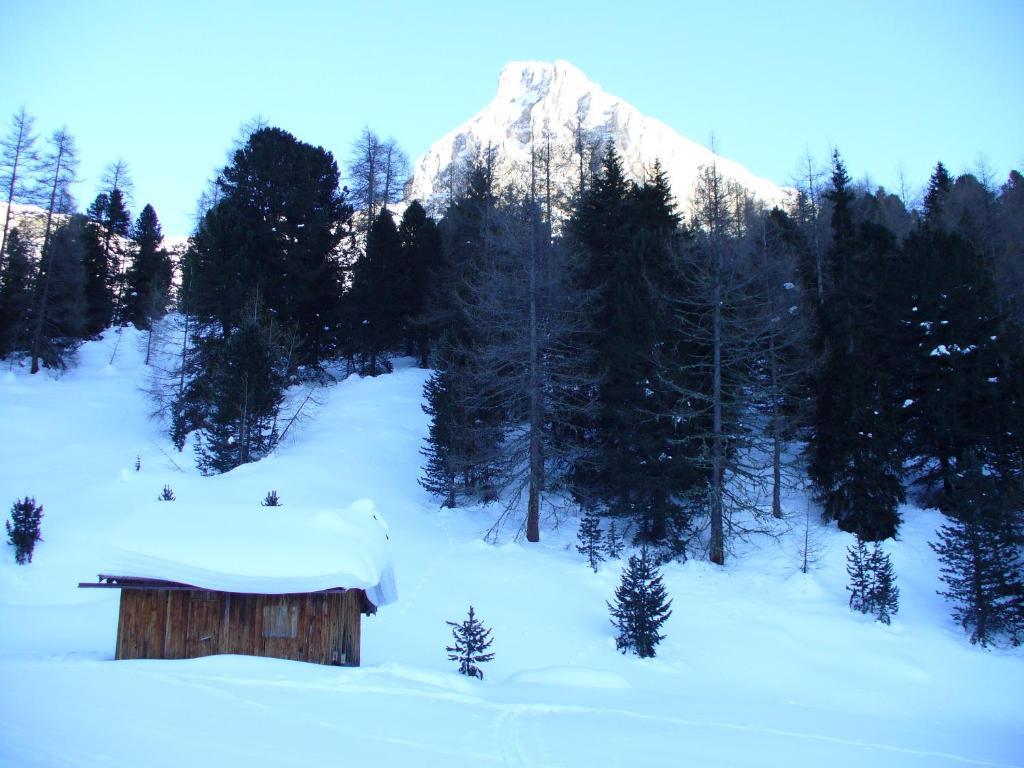 Hotel El Geiger Pozza di Fassa Exteriör bild